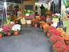 Whitty Farms Fall 2004