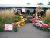 Welcome to Whitty Farms