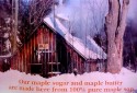 The Sugar House