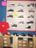 Active footwear, Vans and DC SHOE CO