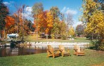 Great Fall colours