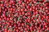 Delicious Hedelfingen Sweet Cherries