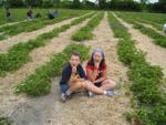 Fantasic Ontario Strawberries!