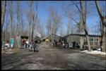 Sugar Camp