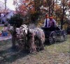 Pumpkin Festival