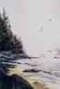 North Shore, Lake Superior (13.5 x 21 inches)