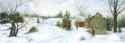 Winter Apples, Spencerville (11 x 30 inches)