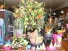 Merchandise to brighten your home!