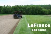 Quality blue grass