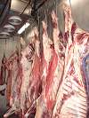 Lots of cooler space, holds upto 50 sides of beef!