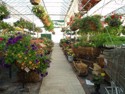 Mixed Containers