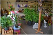 Large selection of Garden Products