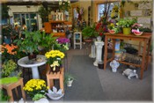 Teleflora T23-3