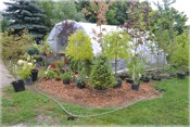 Teleflora T20-3