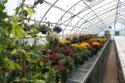 Wide range of Greenhouse products