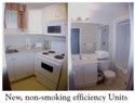 New for 2004!  Immaculate Efficiency Units.