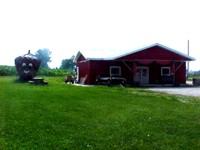 17 km. west of Wingham, 5 km. east of Lucknow