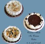 Enjoy custom made ice cream cakes!