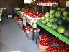 Vine-ripened Field Tomatoes and Watermelons
