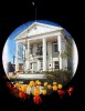 Town Hall