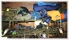 Sleeping bags