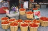 August field produced tomatoes