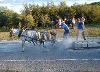 Exciting pony pull held Friday eveing