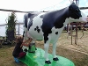 Learn where milk comes from with Milky the Cow