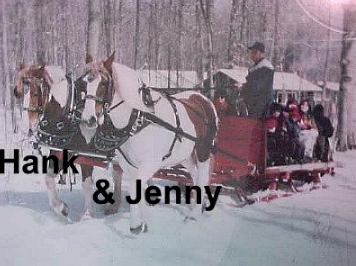 Old-fashioned sleigh rides on Sandy Flat.