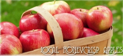 Fresh Honey Crisp