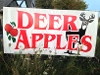 DEER APPLES AVAILABLE