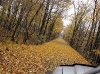 Trails in the Fall