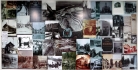 Marmora Historical Collage