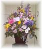 Summer Splendor