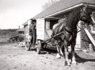 Anyone for a dairy delivery? Walling’s Dairy was a local fixture in Haliburton for decades. This pic shows Stephen Walling, who worked alongside his brother, Lester, and father, Samuel. His grandfather, Reuben, first came to the area to farm in the 1870s. (Haliburton Museum)