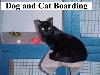 Transitional housing for your pets...ie.Military