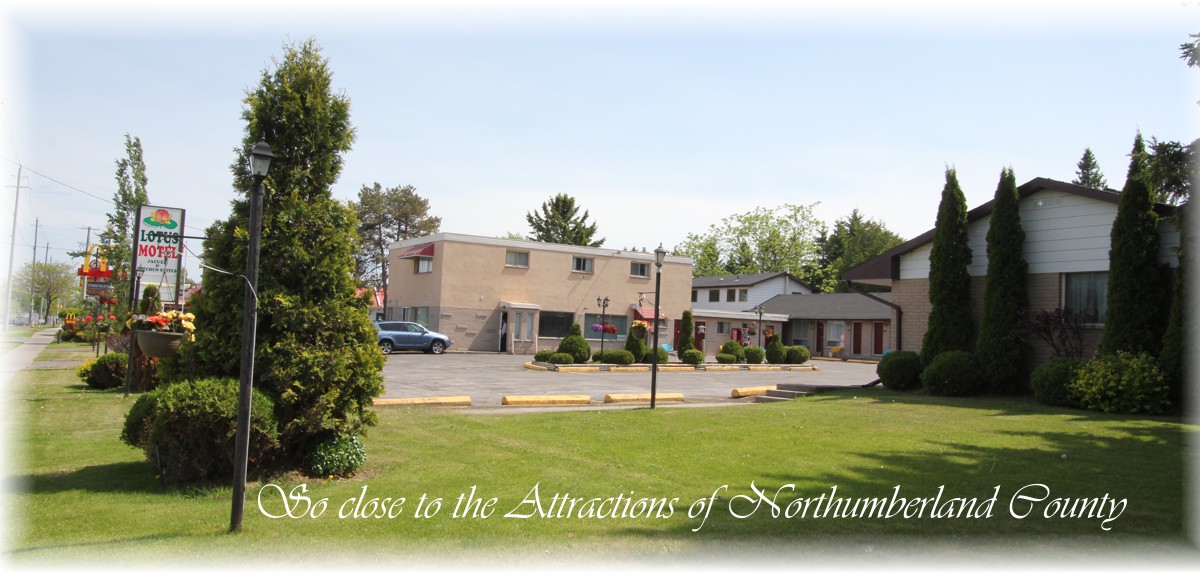 Rural Routes The Lotus Motel